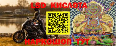 ECSTASY Новодвинск