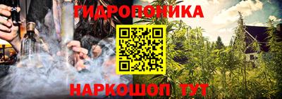 ECSTASY Новодвинск