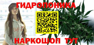 a pvp Апшеронск