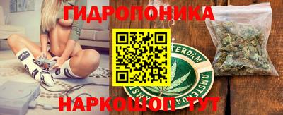 ECSTASY Новодвинск
