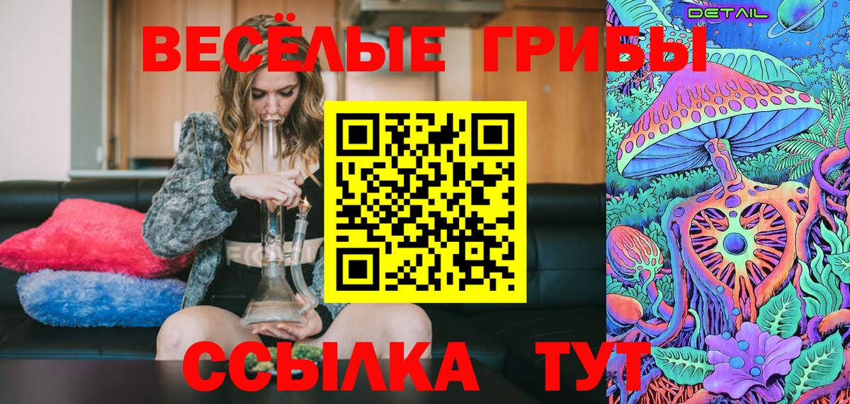 Псилоцибиновые грибы Cubensis Аксай
