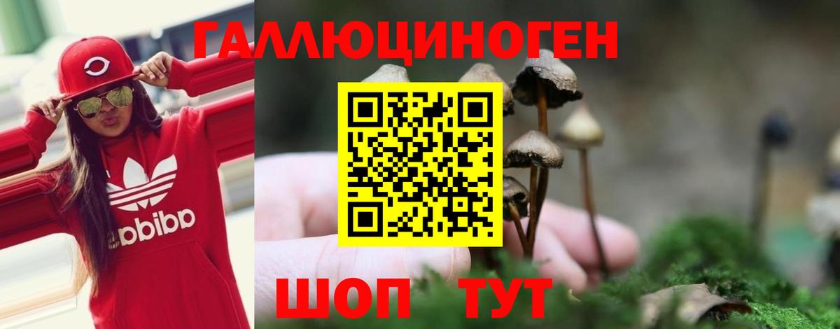 Аксай  Псилоцибиновые грибы Cubensis  где можно купить наркотик  Вход с VPN 